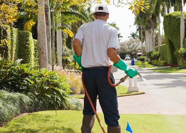 About Oak Park MN Pest Control